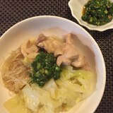 鶏肉とキャベツの煮込み♪ニラソースを添えて